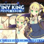 TINY KING ～アミリアと魔王の小瓶～