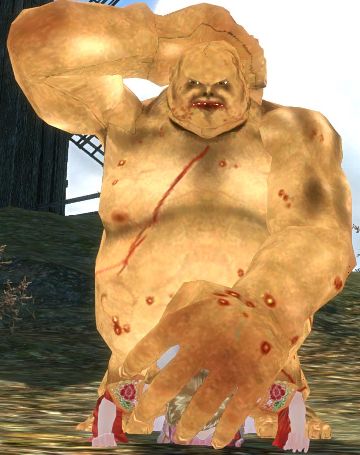 三国夢想 王元姫無惨