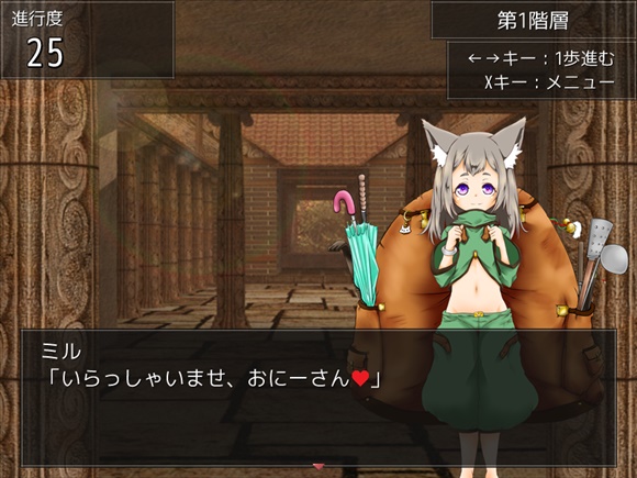 ドレインダンジョン ~サキュバス風俗のある遺跡~