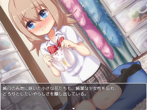 ブルセラクエスト