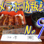 レメラボ情報誌NO９