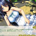 ボクのHな夏休み～田舎で過ごすひと夏の想い出～