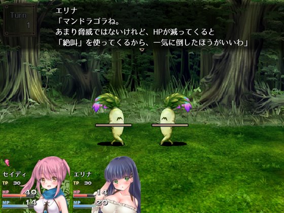 セイディといにしえの森