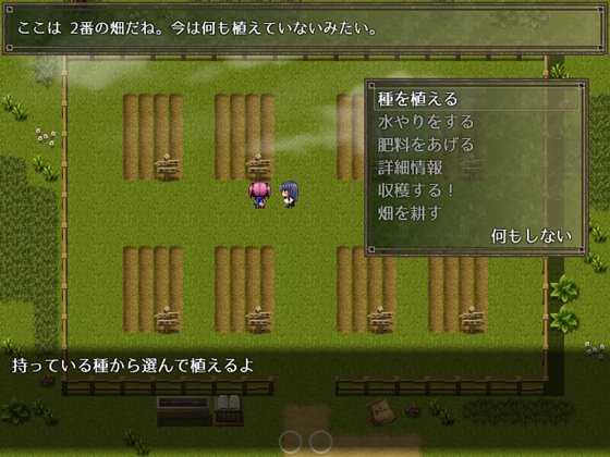 セイディといにしえの森