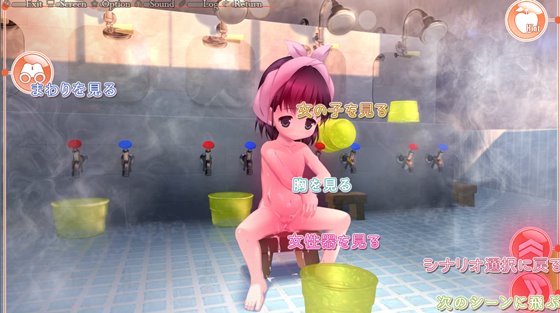 炉姦12 ~アリスたちの膣と感触~