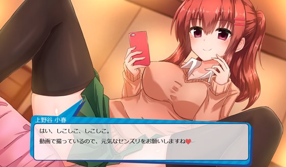 ヒロイン全員お財布狙い!~お金を稼いで女の子に貢ぐパパ活SLG~