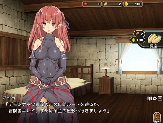 魔王のハーレムは冒険者町にて