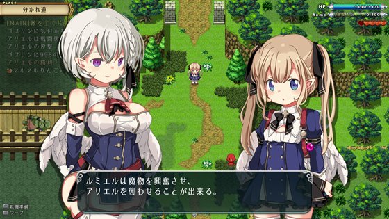 王国の守護天使