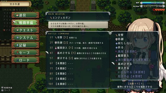 王国の守護天使