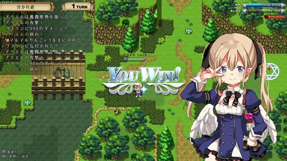 王国の守護天使