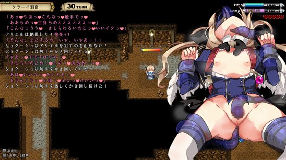 王国の守護天使