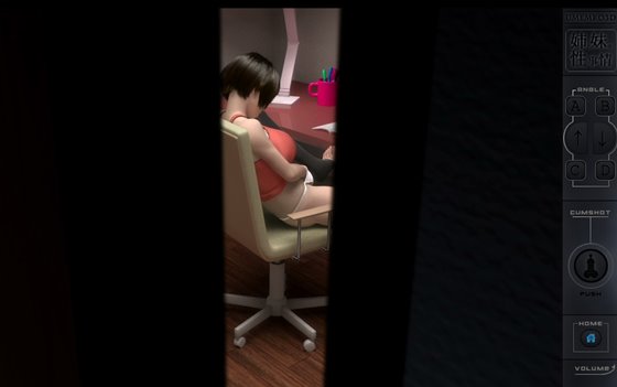 姉と妹の性事情