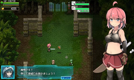 ルインズシーカー