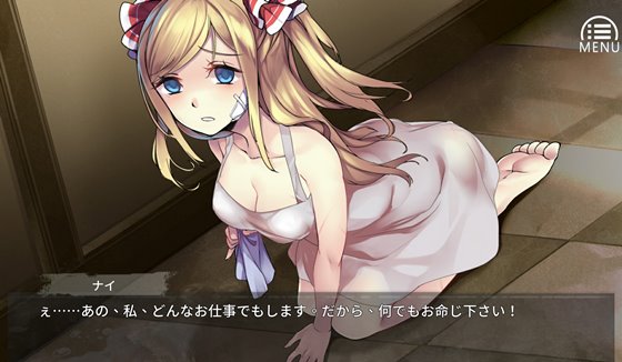 ナイの調教日記