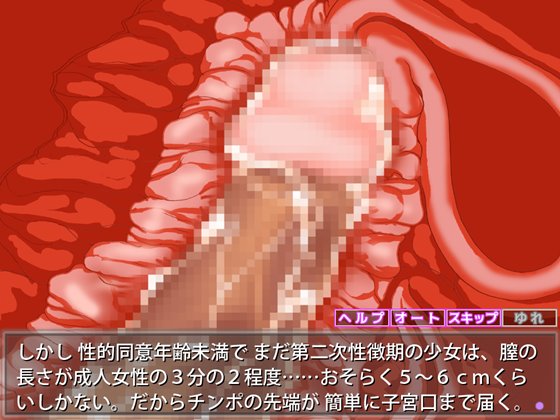 性奴隷「ミサト」 ~女子〇学生監禁レイプ~