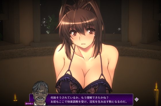 優艶の花 続 淫縛の館