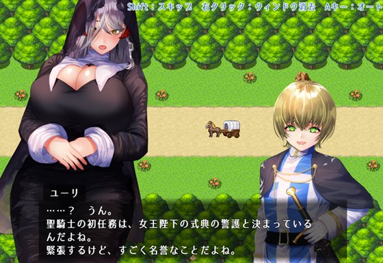 【体格差おねショタRPG】聖騎士様とサキュバス従者【逆レイプBF】