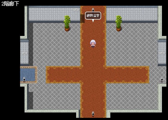 怪盗見習いルミナと魅惑の秘宝