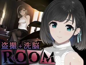 ROOM 体験版
