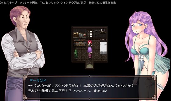 淫刻乙女・冒険記