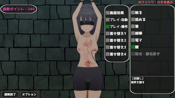 地下室調教シミュレーション~両親に売られた私は変態調教を受ける事になりました~