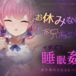 お休みなさい、お兄ちゃん♪【睡眠姦・おさわりシミュレーション】