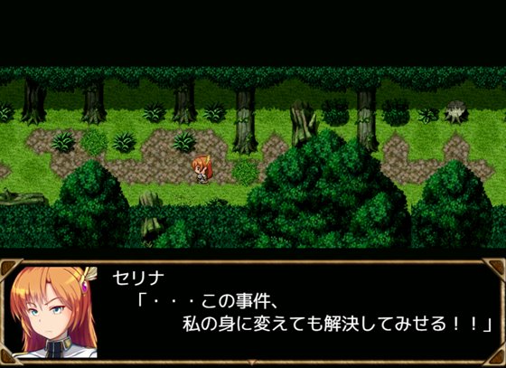 翼の騎士セリナ 邪教の村