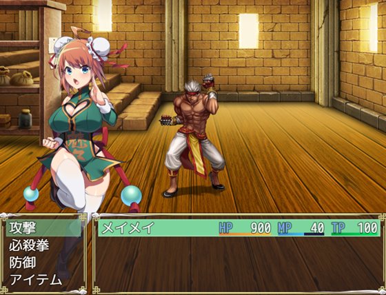 淫烈!!サキュバス拳法