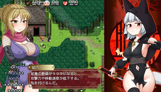 にんじゃり忍法もみじ丸 えっちな密命