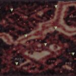 肉壺村-bitch village-