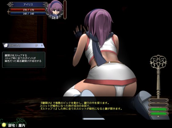 アイリス☆クロニクル