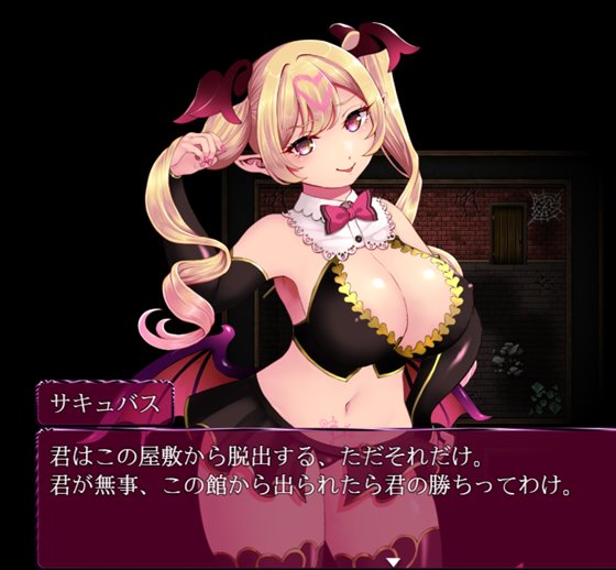 サキュバスエスケープ