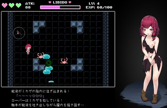 魔女とスライムの迷宮 -Magician's Demimonde-