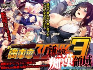 満車率300% 3≒ +鉄板ギャル御乗車ぱっち +最強アイドル御乗車ぱっち +攻略