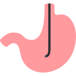 レメラボ情報誌NO20