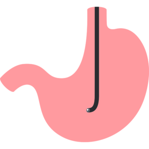 レメラボ情報誌NO20