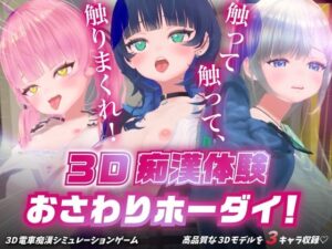 3D痴◯体験 おさわりホーダイ!〜 触って触って、触りまくれ!〜