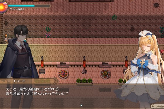 影に染まりゆく~アスリントの妹神官~