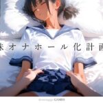 妹オナホール化計画(ゲーム版) レビュー