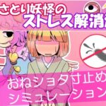 さとり妖怪のストレス解消法のジャケット・アイキャッチ画像