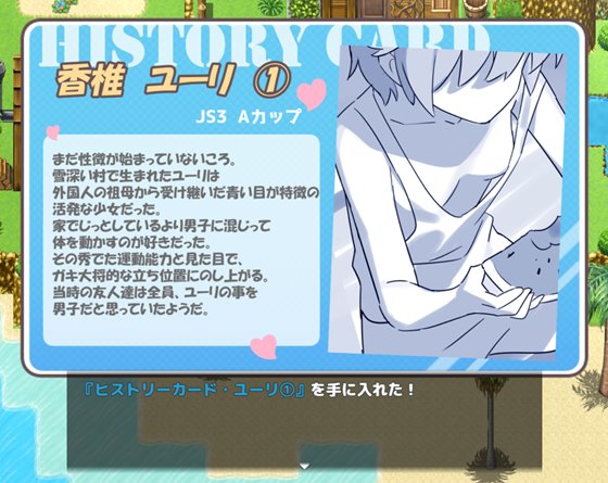 Hとメイドと無人島のヒストリーカード画像