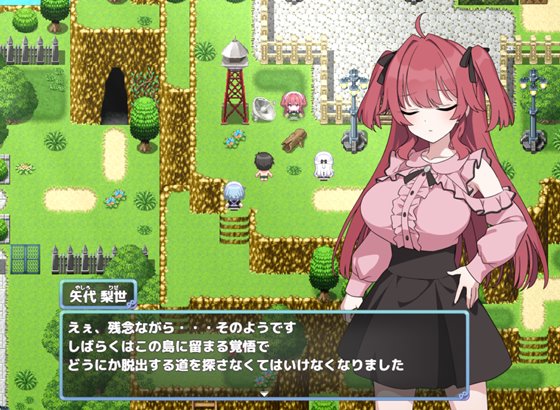 Hとメイドと無人島のあらすじ画像