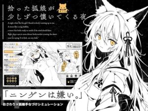 拾った狐娘が少しずつ懐いてくる夜のジャケット・アイキャッチ画像
